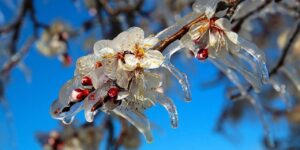 kirikkale’de-ciftcilere-onemli-uyari:-onlemlerinizi-alin