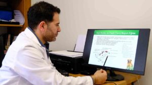 prof-dr.-kockaya:-‘sokak-hayvanlarina-karsi-sorumluluklarimiz-var’