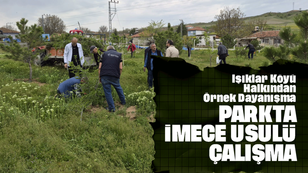 isiklar-koyu-halkindan-ornek-dayanisma:-parkta-imece-usulu-calisma