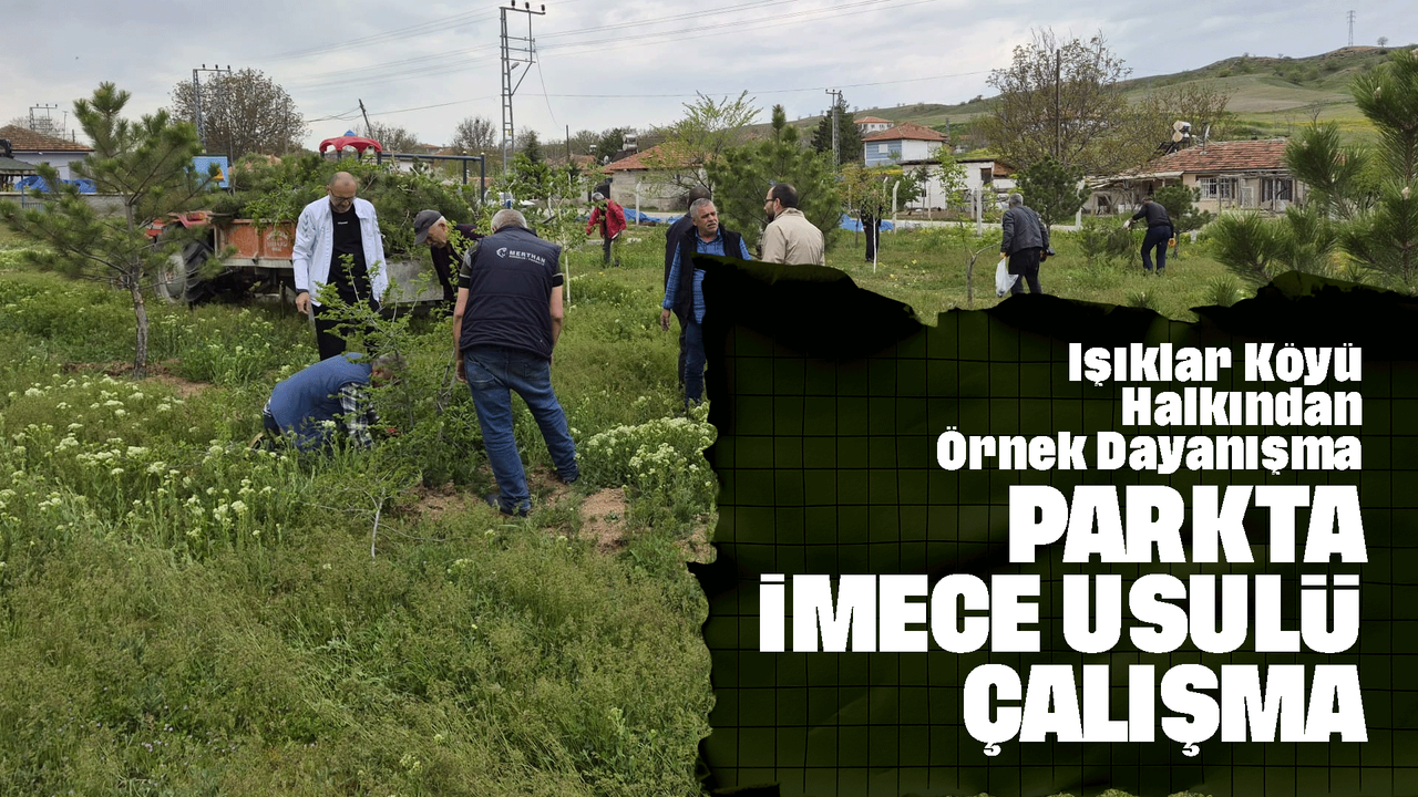 isiklar-koyu-halkindan-ornek-dayanisma:-parkta-imece-usulu-calisma