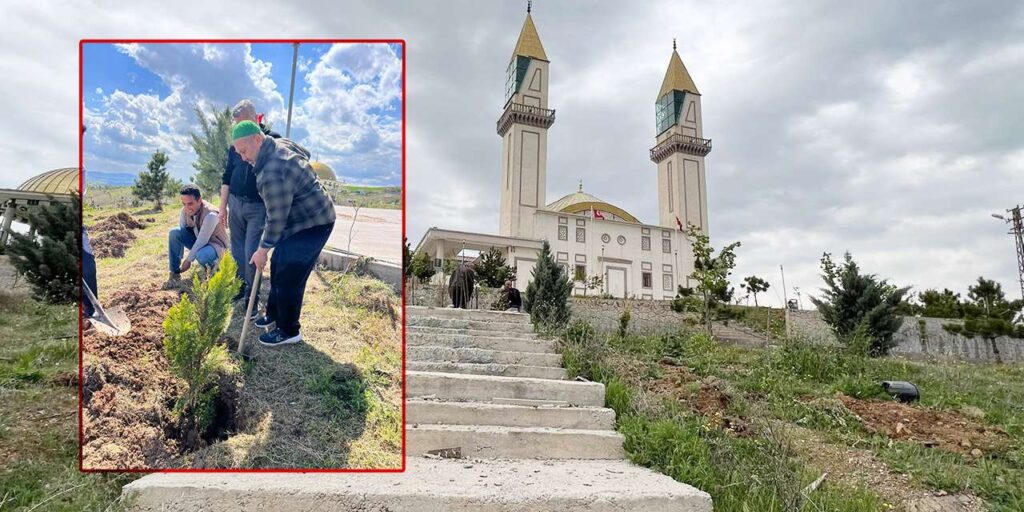 bahattin-akyon-duyurdu:-islami-degerler-kulliyesi-agaclarla-yeseriyor