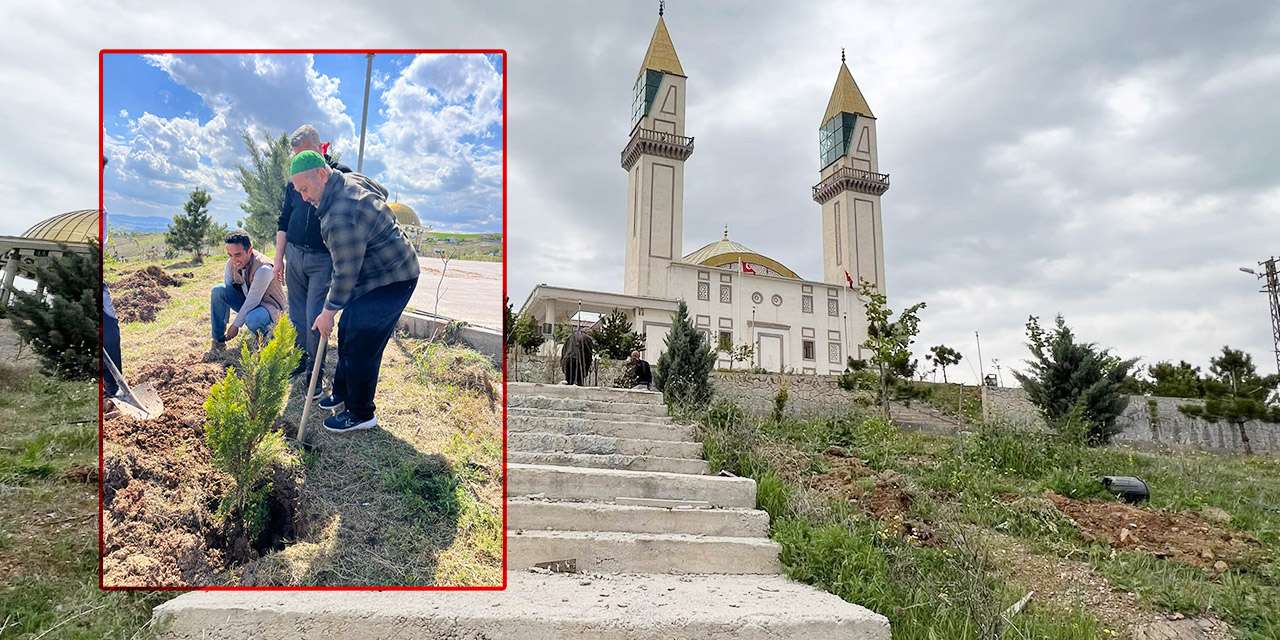 bahattin-akyon-duyurdu:-islami-degerler-kulliyesi-agaclarla-yeseriyor