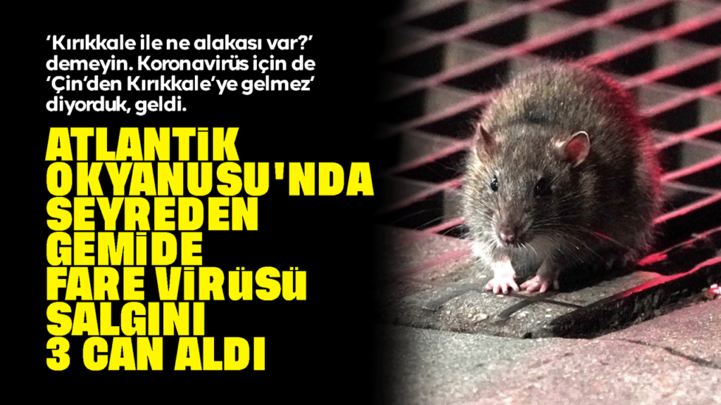 kruvaziyer-gemisinde-hantavirus-alarmi:-3-yolcu-hayatini-kaybetti!-fare-virusu-nedir?
