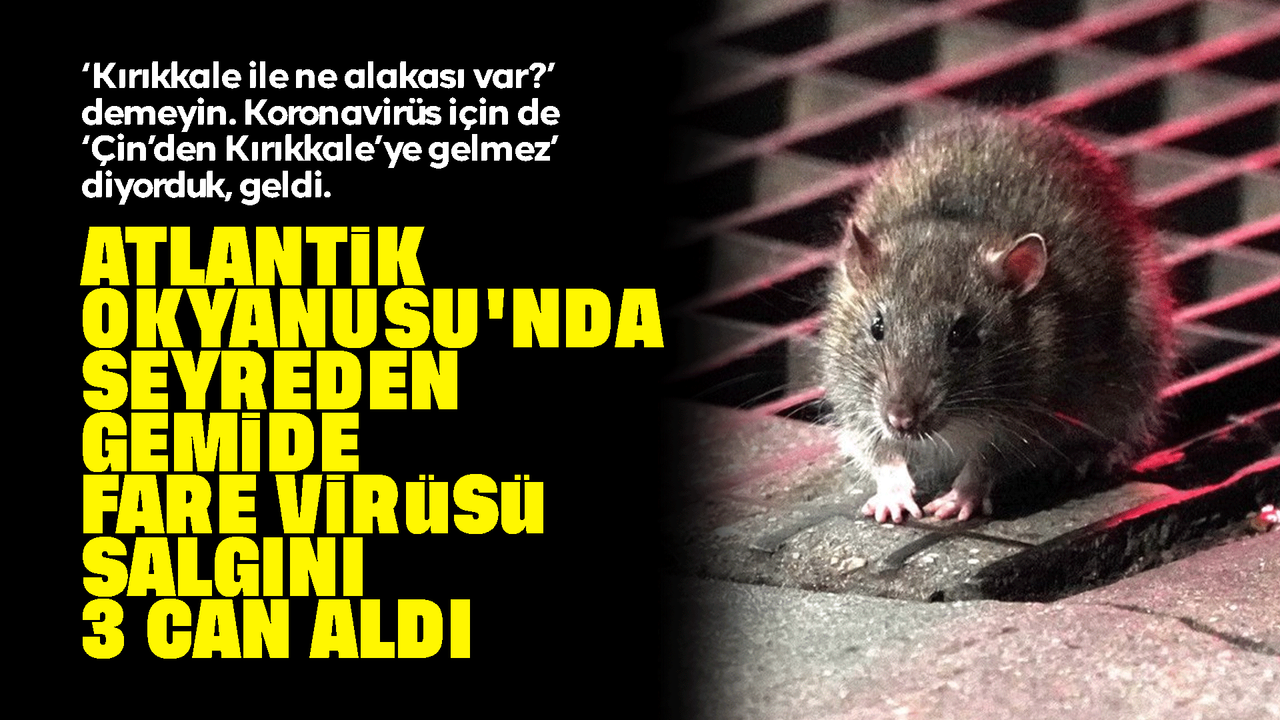 kruvaziyer-gemisinde-hantavirus-alarmi:-3-yolcu-hayatini-kaybetti!-fare-virusu-nedir?