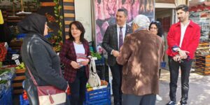 CHP’den emeklilere yönelik saha çalışması