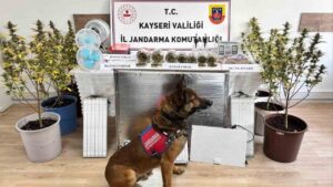 Uyuşturucu operasyonu
