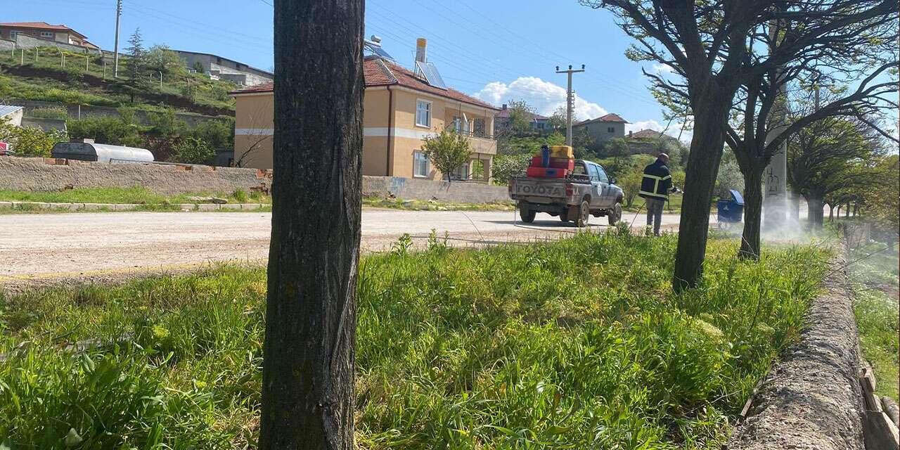 sulakyurt’ta-park-ve-yesil-alanlarda-yogun-ilaclama