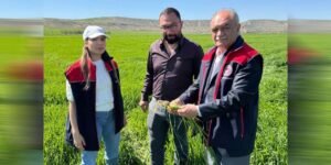 Tarım ekipleri denetimlerini sıklaştırdı