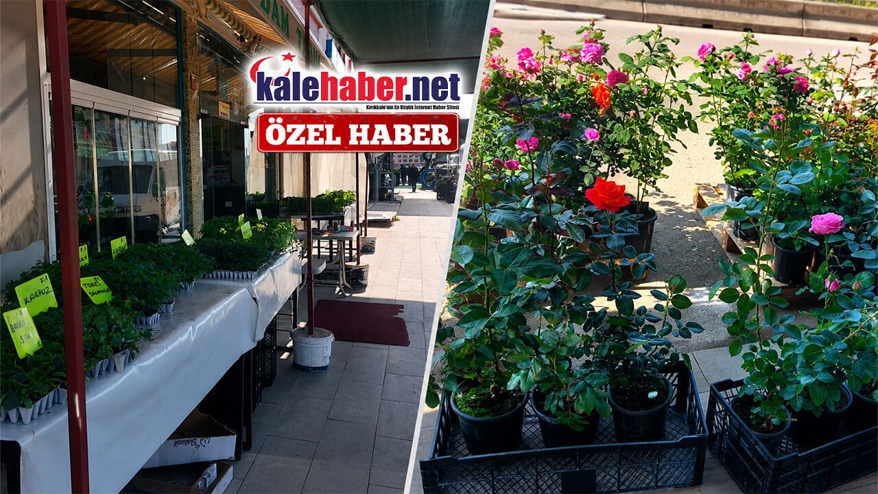 kirikkale’de-sebze-fidani-satislari-hareketlendi