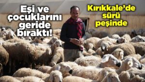 Eşi ve çocuklarını geride bıraktı! Şimdi Kırıkkale’de sürü peşinde