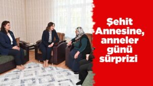 Şehit Annesine, anneler günü sürprizi