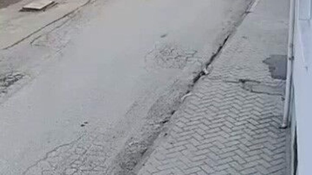 bir-anda-kosup-havlayan-kopek-kucuk-cocugu-korkuttu