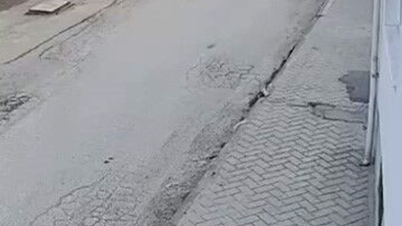 bir-anda-kosup-havlayan-kopek-kucuk-cocugu-korkuttu