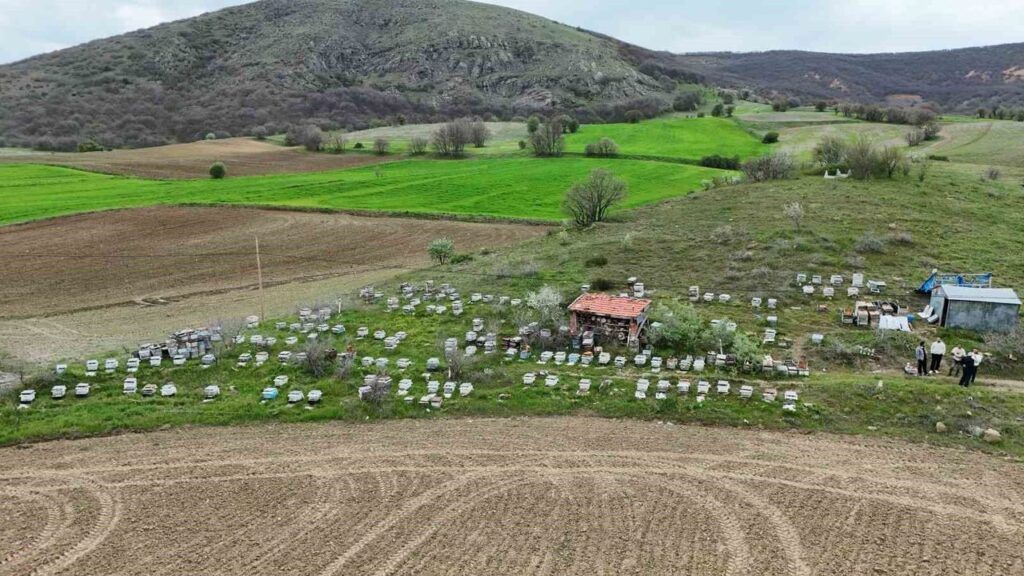 dedesinden-ogrendigi-meslegi-koyunde-surduruyor
