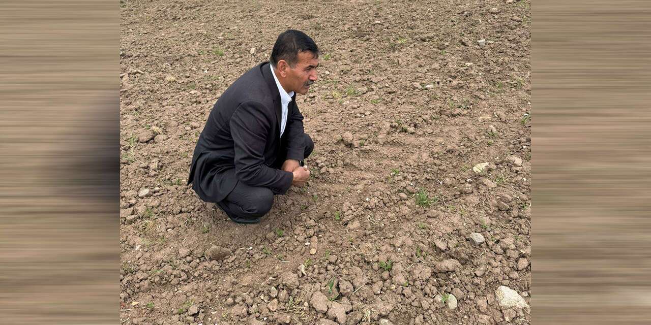 ozturk’ten-tmo’ya-fiyat-cagrisi:-“uretici-korunmalidir”