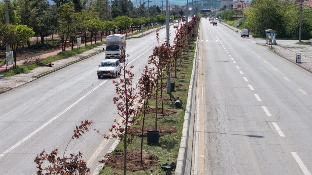 kirikkale’de-orta-refujler-yesillendiriliyor