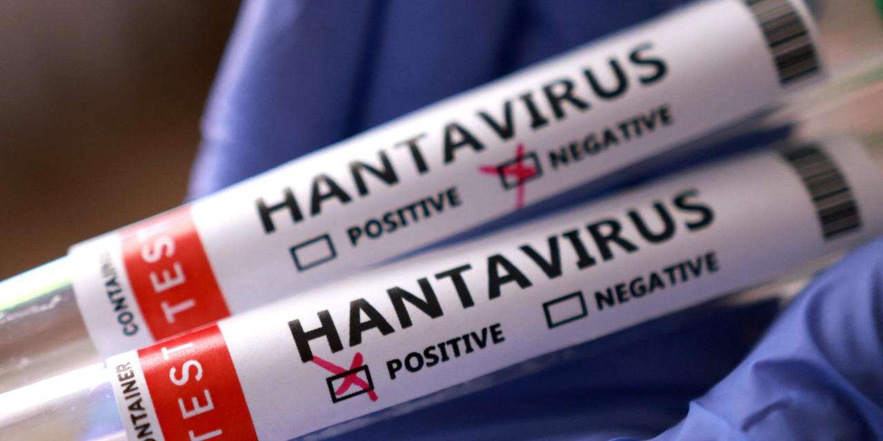 hanta-virusu-nedir,-hanta-virusu-nasil-bulasir,-hanta-virusu-nasil-gecer
