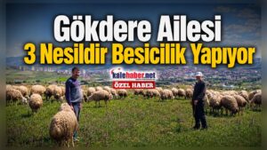 Yahşihan’da 3 Nesildir Besicilik Yapıyorlar