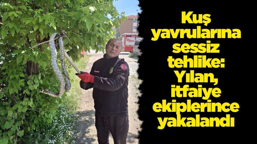 kus-yavrularina-sessiz-tehlike:-yilan-itfaiye-ekiplerince-yakalandi