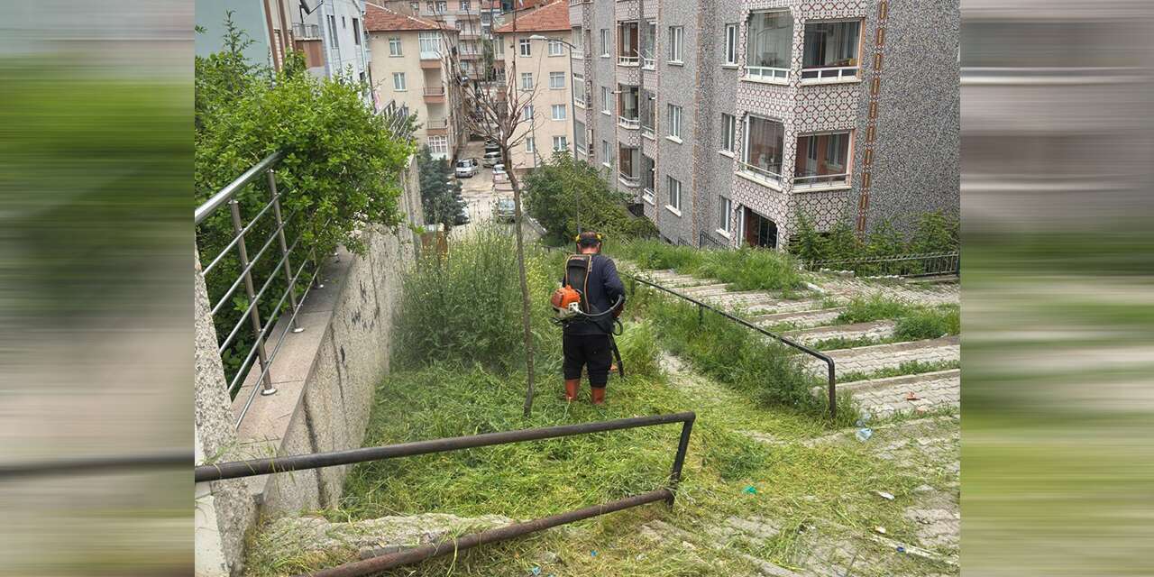 merdivenli-yol-otlardan-temizlendi