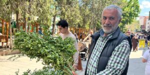 Kırıkkale yeşil nohut fiyatı tezgahları şenlendirdi: Bağ bağ satılıyor