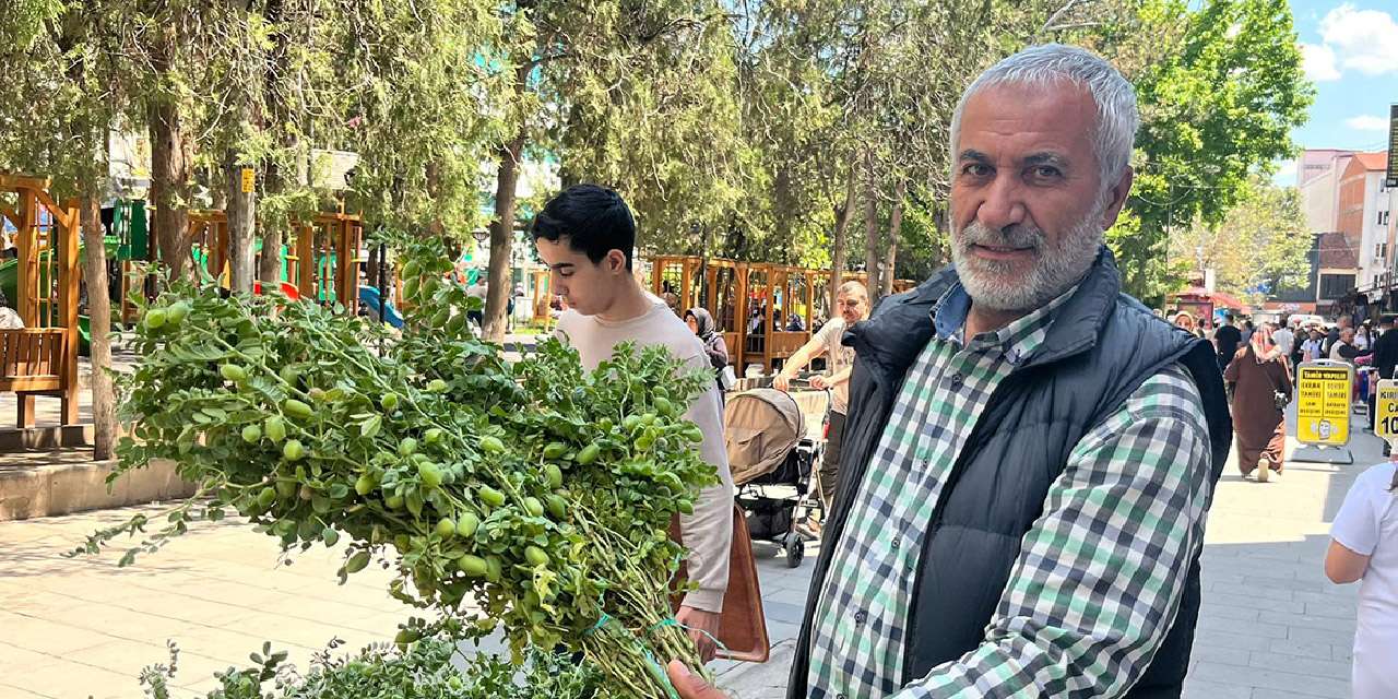 kirikkale-yesil-nohut-fiyati-tezgahlari-senlendirdi:-bag-bag-satiliyor