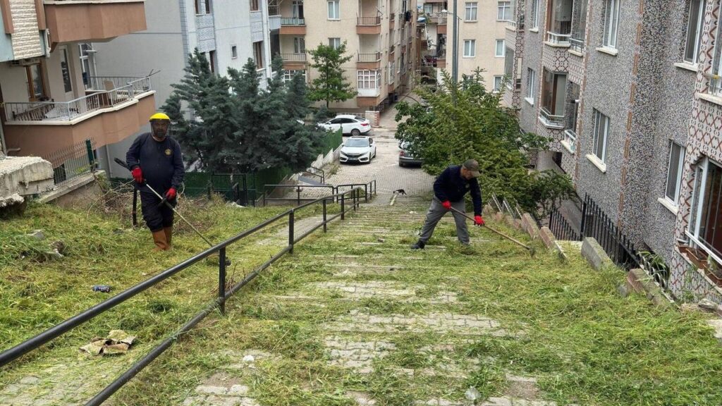 kirikkale’de-yabani-ot-temizligi-suruyor