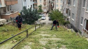 Kırıkkale’de Yabani Ot Temizliği Sürüyor