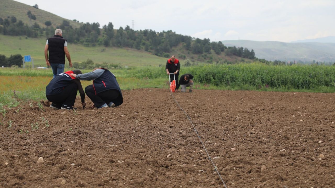 kirikkale’de-surdurulebilir-tarim-hamlesi