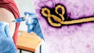 DSÖ’den Ebola uyarısı: “Aşı için 9 ay gerekebilir”