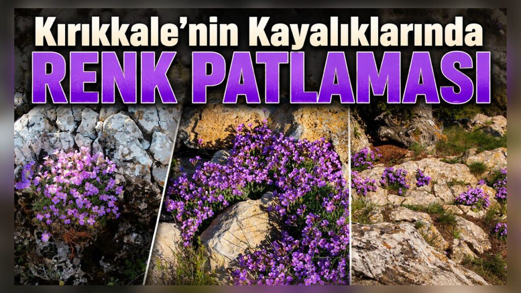 kirikkale’nin-kayaliklarinda-renk-patlamasi