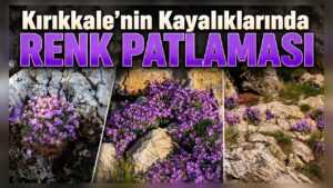 Kırıkkale’nin Kayalıklarında Renk Patlaması
