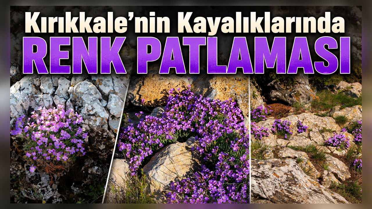 kirikkale’nin-kayaliklarinda-renk-patlamasi