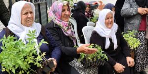 Kırıkkale Belediyesi’nden tarıma büyük destek: 6 köyde binlerce ücretsiz fide toprakla buluştu!