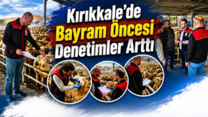 Kırıkkale’de Kurban Pazarlarında Sıkı Denetim