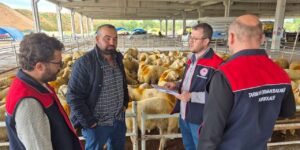 Kurban pazarında sıkı denetim