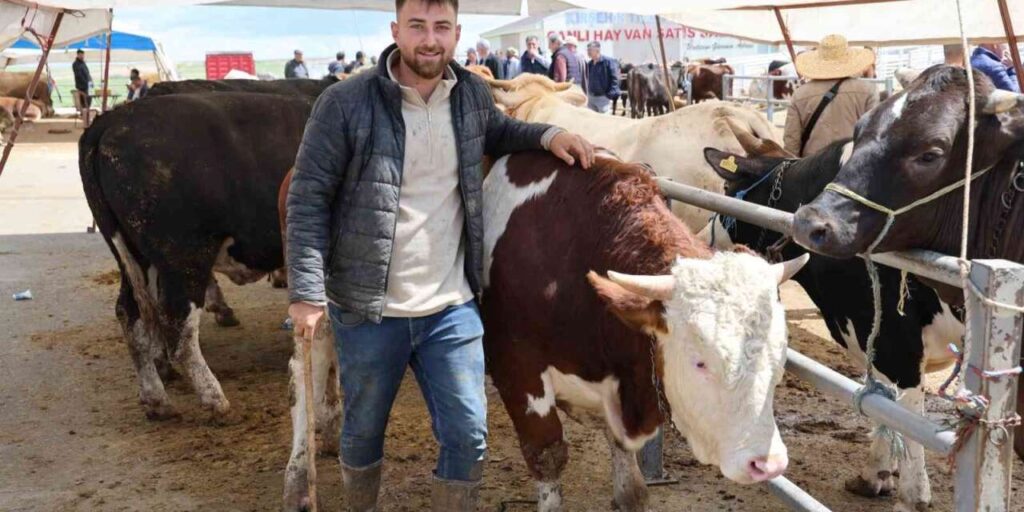 otomobil-fiyatina-inek:-tam-830-kilo