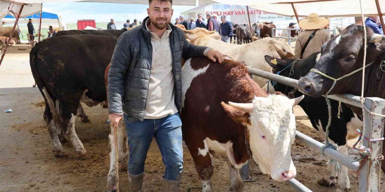 otomobil-fiyatina-inek:-tam-830-kilo
