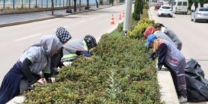 Bayram Öncesi Kırıkkale’de Refüjler Çiçeklerle Donatılıyor