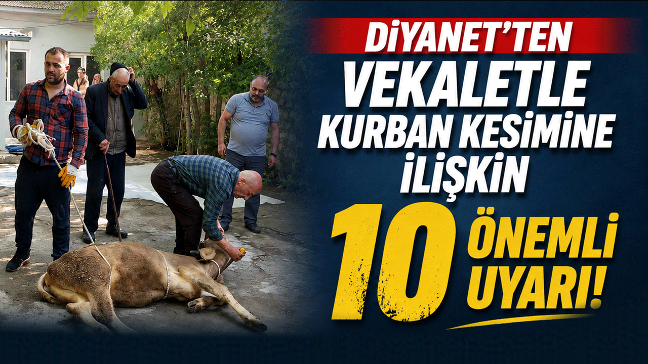diyanet’ten-vekaletle-kurban-kesimine-iliskin-10-onemli-uyari