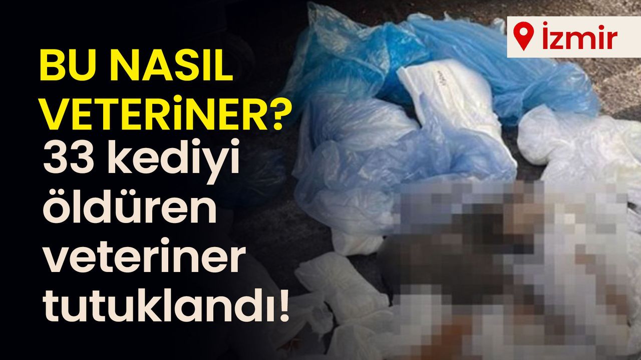 bu-nasil-veteriner?-33-kediyi-olduren-veteriner-tutuklandi!