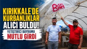 Kurbanlıklar alıcı buldu, yetiştirici bayrama mutlu girdi: “Dedikleri fiyata verdik, milleti kurbansız göndermedik”