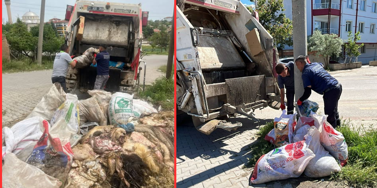 bayramda-kirikkale’de-yogun-mesai:-temizlik-ve-ilaclama-bir-arada-yurutuluyor