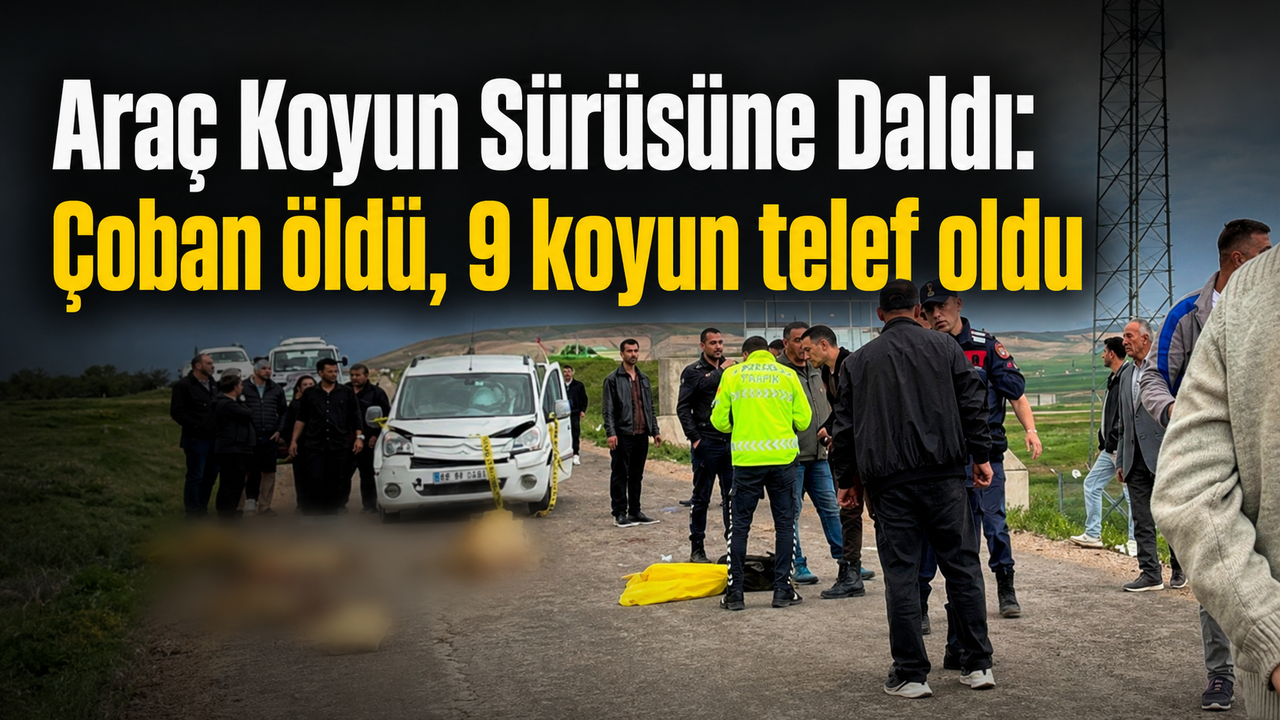 arac-koyun-surusune-daldi:-coban-oldu,-9-koyun-telef-oldu