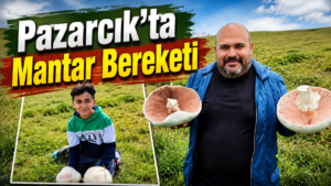 Pazarcık’ta Mantar Bereketi