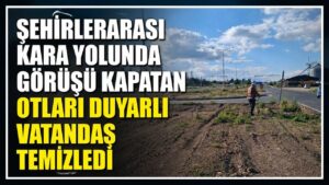 Şehirlerarası kara yolunda görüşü kapatan otları duyarlı vatandaş temizledi