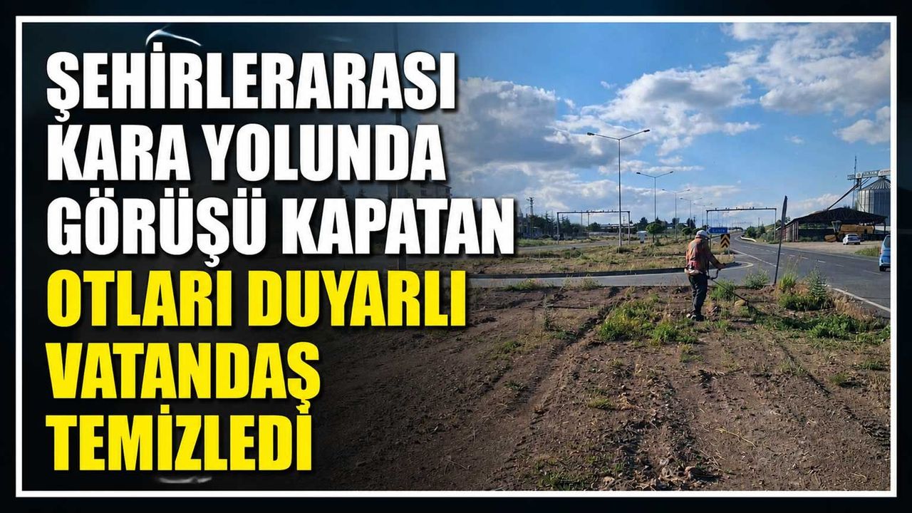 sehirlerarasi-kara-yolunda-gorusu-kapatan-otlari-duyarli-vatandas-temizledi