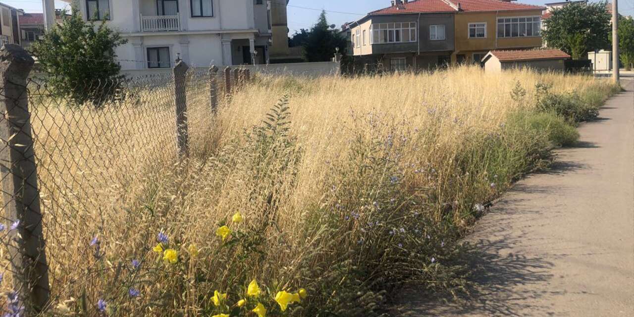 kirikkale’de-koylerde-buyuk-tehlike!-mudahale-edilmeli