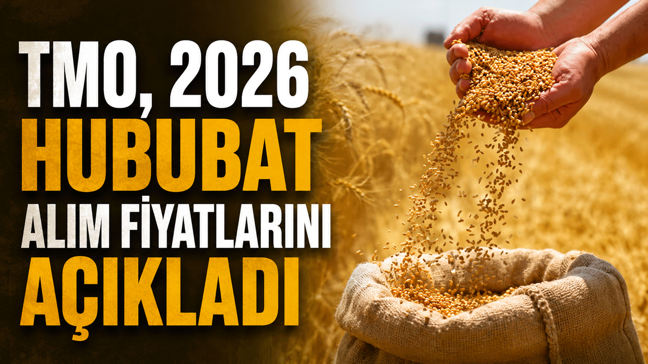 tmo,-2026-hububat-alim-fiyatlarini-acikladi