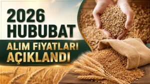 TMO 2026 Hububat Alım Fiyatları Açıklandı